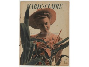 Agrandir l'image - fenêtre modale